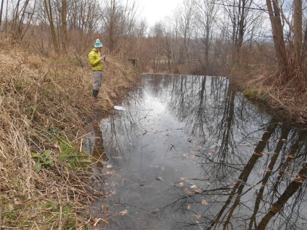2013.12.26 Poszukiwanie "zęb&oacute;w smoka" - wyjazd wieczorny