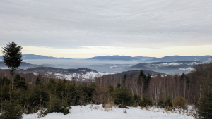 2026.01.22 Kiczora 761 m nad Przyłękowem w Beskidzie Żywieckim