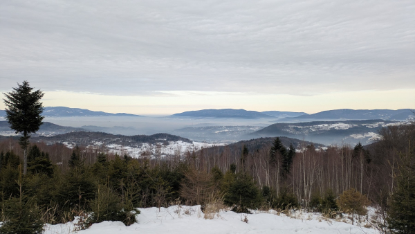 2026.01.22 Kiczora 761 m nad Przyłękowem w Beskidzie Żywieckim