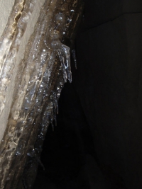 Lodowe heliktyty w Jaskini pod Balkonem