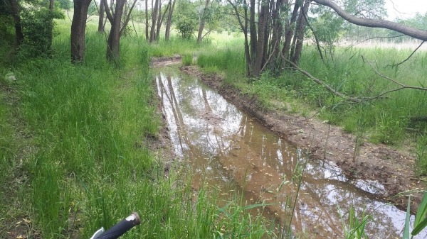 2023.06.07 Rowerowa akcja solo wok&oacute;ł śmietnika w Lipniku