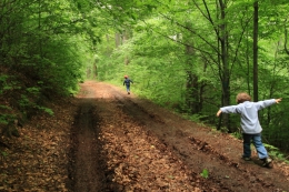 2013.06.02 P10W Borowina