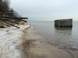 2015.02.04 Kępa Redłowska