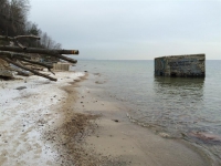 2015.02.04 Kępa Redłowska