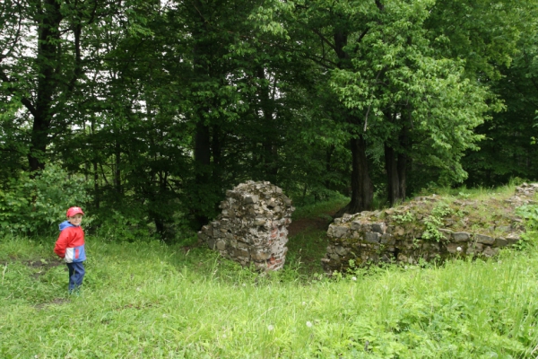 2013.05.25 Zamek Wołek