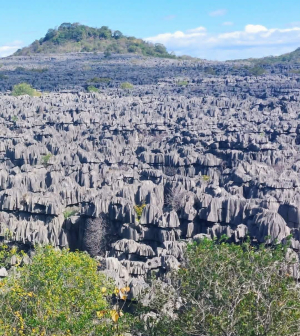 2026.06.02 Madagaskar