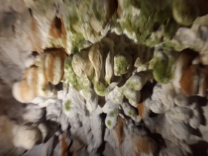 2019.07.18 Kanion Matka jaskinia Vrelo Macedonia