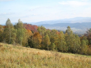 2017.10.15 Łysina Zamczysko