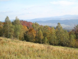 2017.10.15 Łysina Zamczysko