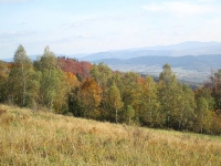2017.10.15 Łysina Zamczysko