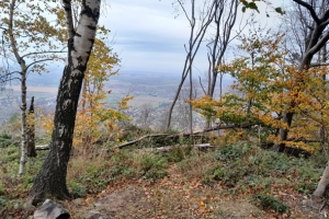 2022.10.22 P12W Palenica/Błatnia