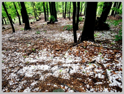 2013.05.22 Tura rowerowa