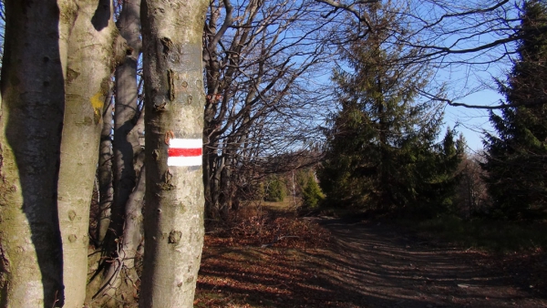 2014.03.09 Dookoła doliny Jasionki