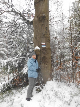 2013.12.01 P10W - Gaiki - Beskid Mały