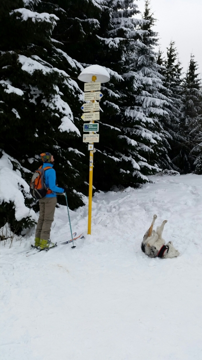 2016.01.23 Ahornberg skitourowo