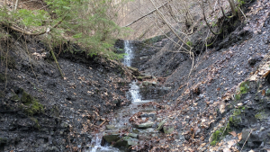 2026.03.01 Wycieczka do wodospadu pod Złotą G&oacute;rą w Beskidzie Małym