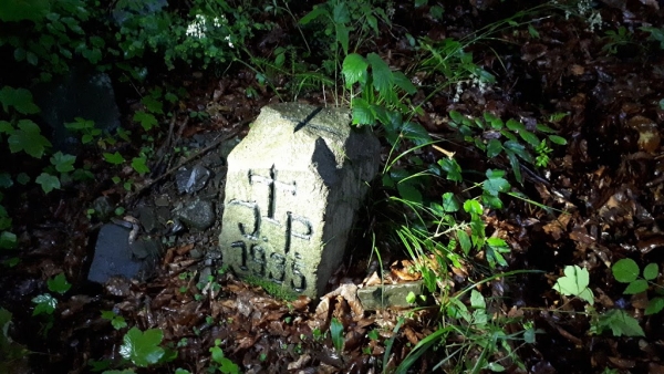 2020.06.08 Akcja Sekcji Archeologicznej przy Speleoklubie Bielsko-Biała w Beskidzie Śląskim