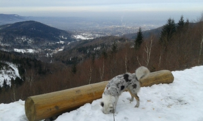2015.02.24 P12W Magurka Narty