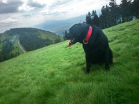 2013.05.29 P10W Szyndzielnia