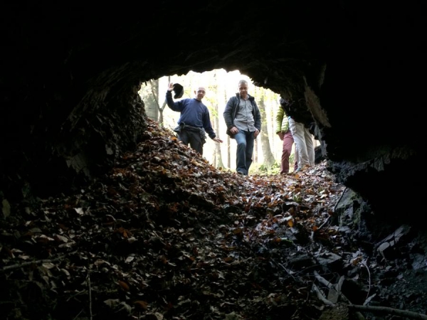 2014.11.02 Schronisko w Marklowicach K.Ps-01.01S 