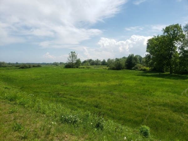 2019.05.19 Dolina Wisły