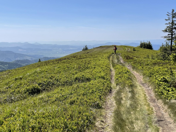 2025.06.15. Mała Fatra - Martinskie Hole