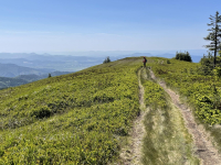 2025.06.15. Mała Fatra - Martinskie Hole