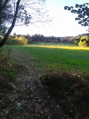 2020.10.04 - Leskowiec z Targoszowa