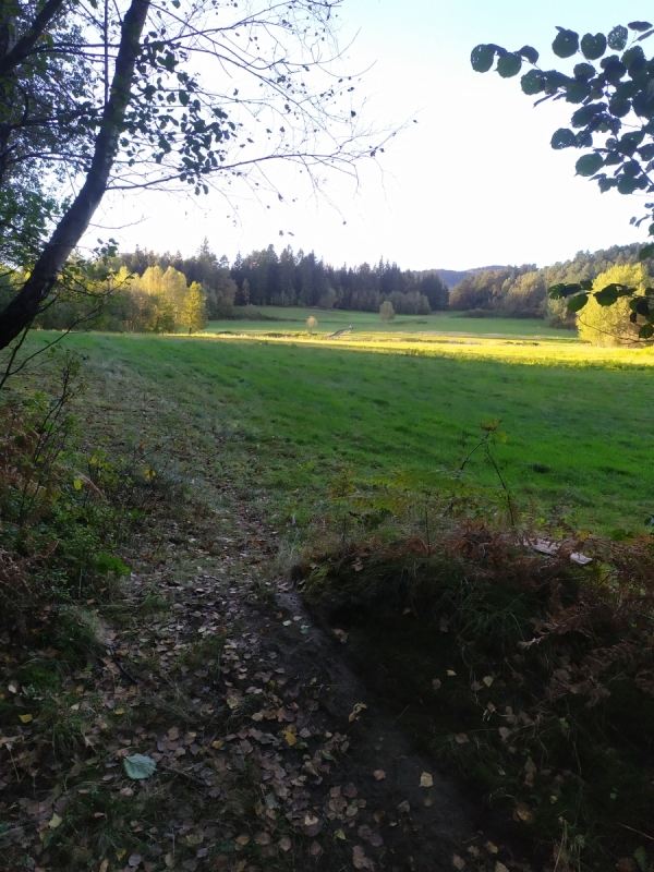 2020.10.04 - Leskowiec z Targoszowa