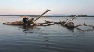 2023.06.19 P&oacute;łnocna mierzeja wpływu Wisy do Zalewu Goczałkowiciego