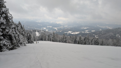 2025.03.01 Wycieczka narciarska w Beskidzie Żywieckim w poszukiwaniu śniegu