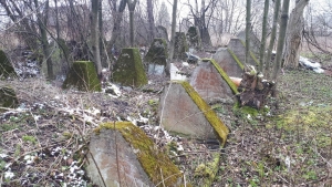 2020.03.30 Czechowice Dziedzice - zęby smoka