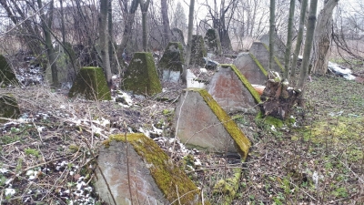 2020.03.30 Czechowice Dziedzice - zęby smoka