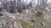2020.03.30 Czechowice Dziedzice - zęby smoka