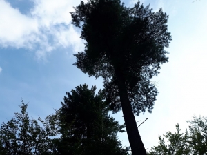 2019.08.08 Akcja eksploracyjna na Bukowskim Groniu 767 w Beskidzie Małym