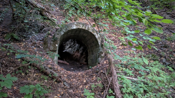 2025.08.19 Żywiec - schrony przeciwlotnicze z okresu II wojny światowej