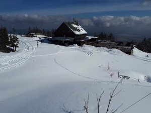 2019.03.07 Puchar 12 Wzniesień - Skrzyczne /narty/