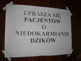 2013.03.26 Katowice Ligota