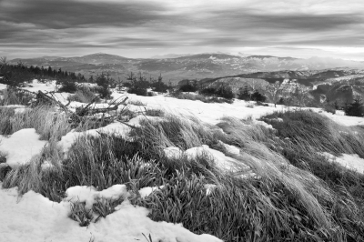 2016.12.31 /data zgłoszenia/ P12W 2016 by KT