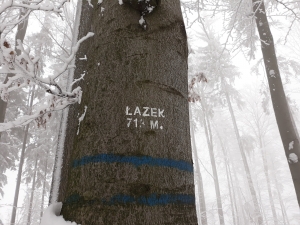2019.01.04 P12 W Łazek