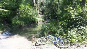 2018.07.21 Na rowerze wok&oacute;ł  śmietnika