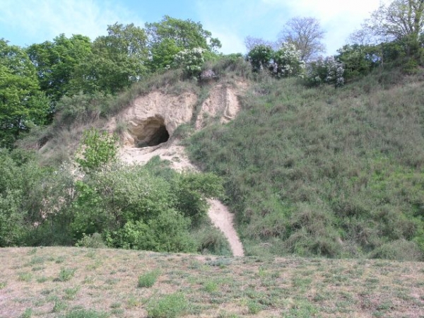 2019.05.01-05. Gostynin