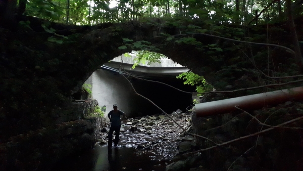 2024.08.08 Akcja poznawcza w Niwce