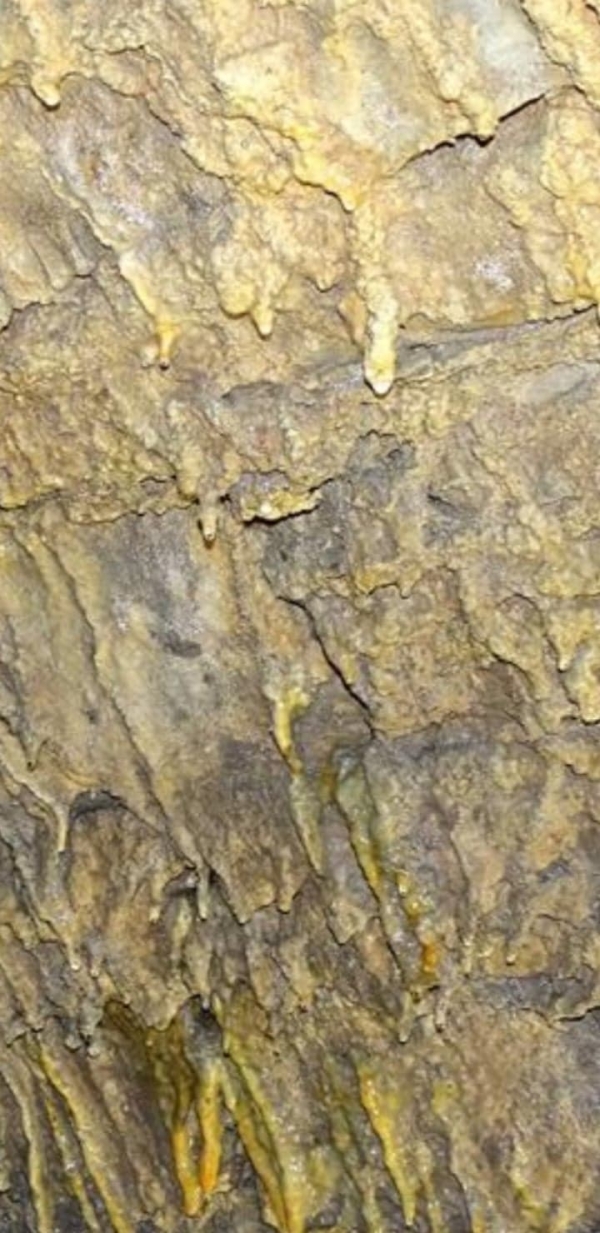 12 Cieszyńska Noc Muze&oacute;w