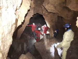 2018.10.07 Jaskinia Brzozowa i Ludwinowska oraz Rzędkowickie skałki