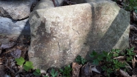 2020.04.27 Akcja Sekcji Archeologicznej