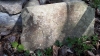 2020.04.27 Akcja Sekcji Archeologicznej