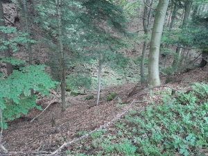 2022.08.02 Magurka Wilkowicka (Rogacz) eksploracja