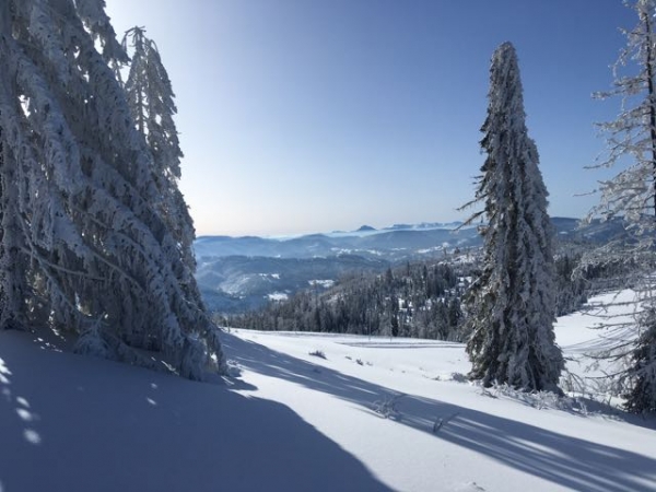 2020.02.08 Rysianka-Lipowska Beskid Żywiecki 1322.m